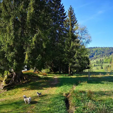 B4 Albmatte Apartamento Menzenschwand-Hinterdorf