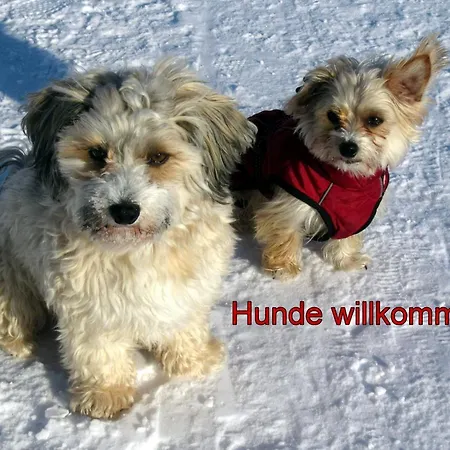 B4 Albmatte Apartamento