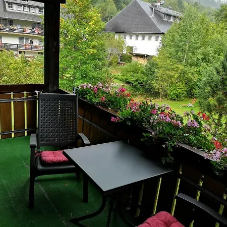 Apartment B4 Albmatte