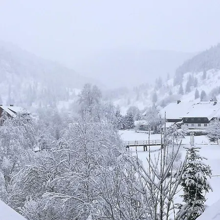 B4 Albmatte Menzenschwand-Hinterdorf