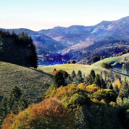 B4 Albmatte * Menzenschwand-Hinterdorf