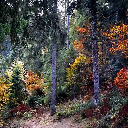 B4 Albmatte Apartamento