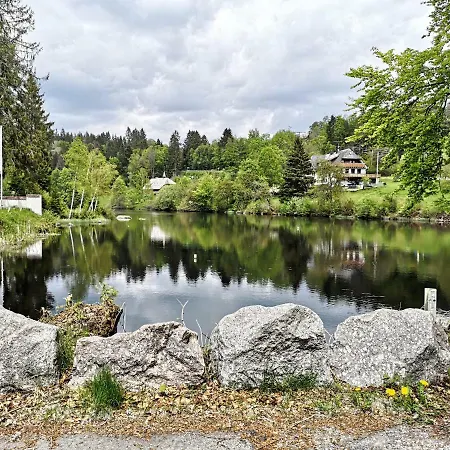 Apartamento B4 Albmatte Menzenschwand-Hinterdorf