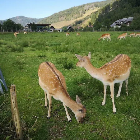 B4 Albmatte Menzenschwand-Hinterdorf