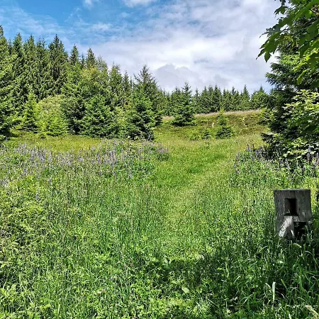 B4 Albmatte Apartamento Menzenschwand-Hinterdorf