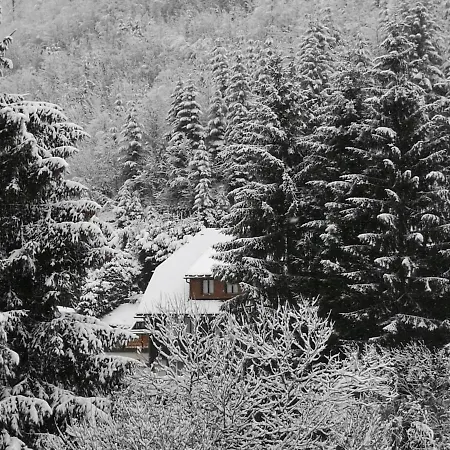 B4 Albmatte * Menzenschwand-Hinterdorf