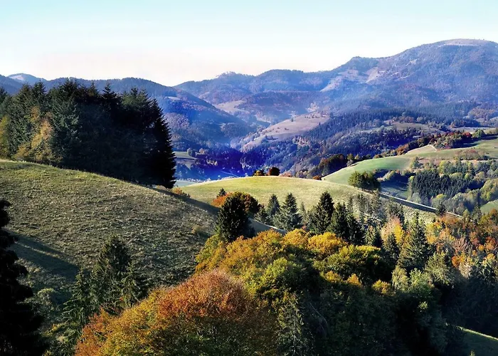 B4 Albmatte * Menzenschwand-Hinterdorf