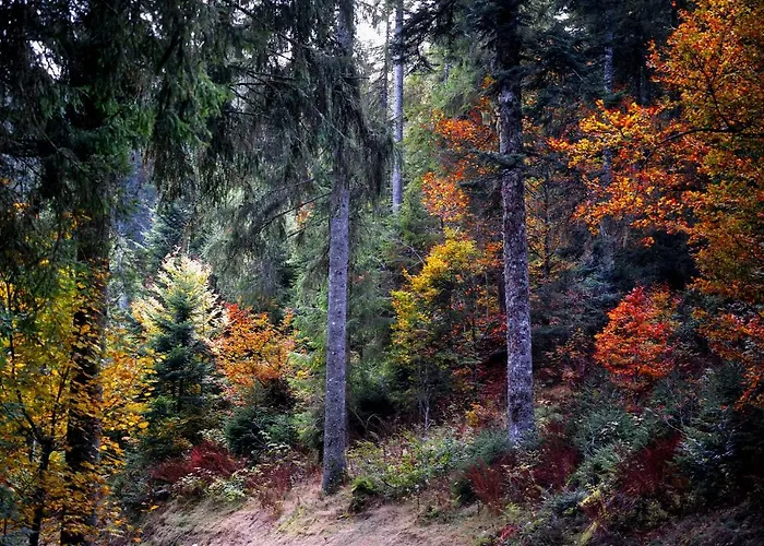 B4 Albmatte Apartament