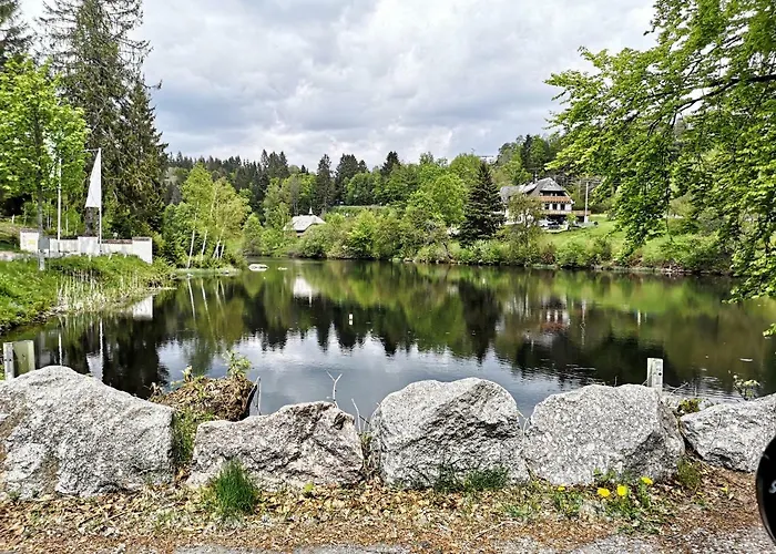 Apartament B4 Albmatte Menzenschwand-Hinterdorf